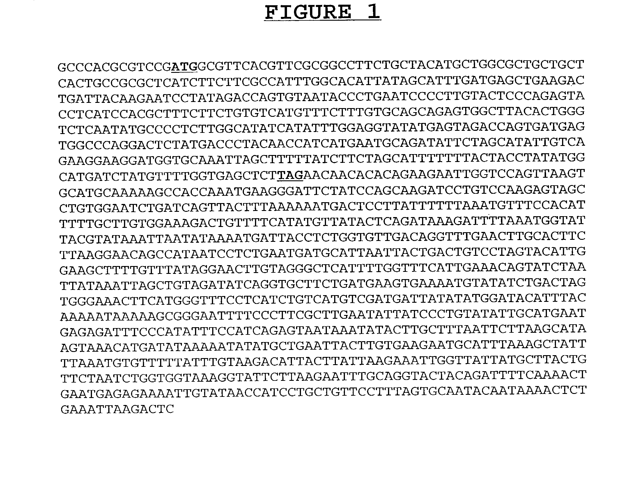 Compositions and methods for the diagnosis and treatment of disorders involving angiogenesis