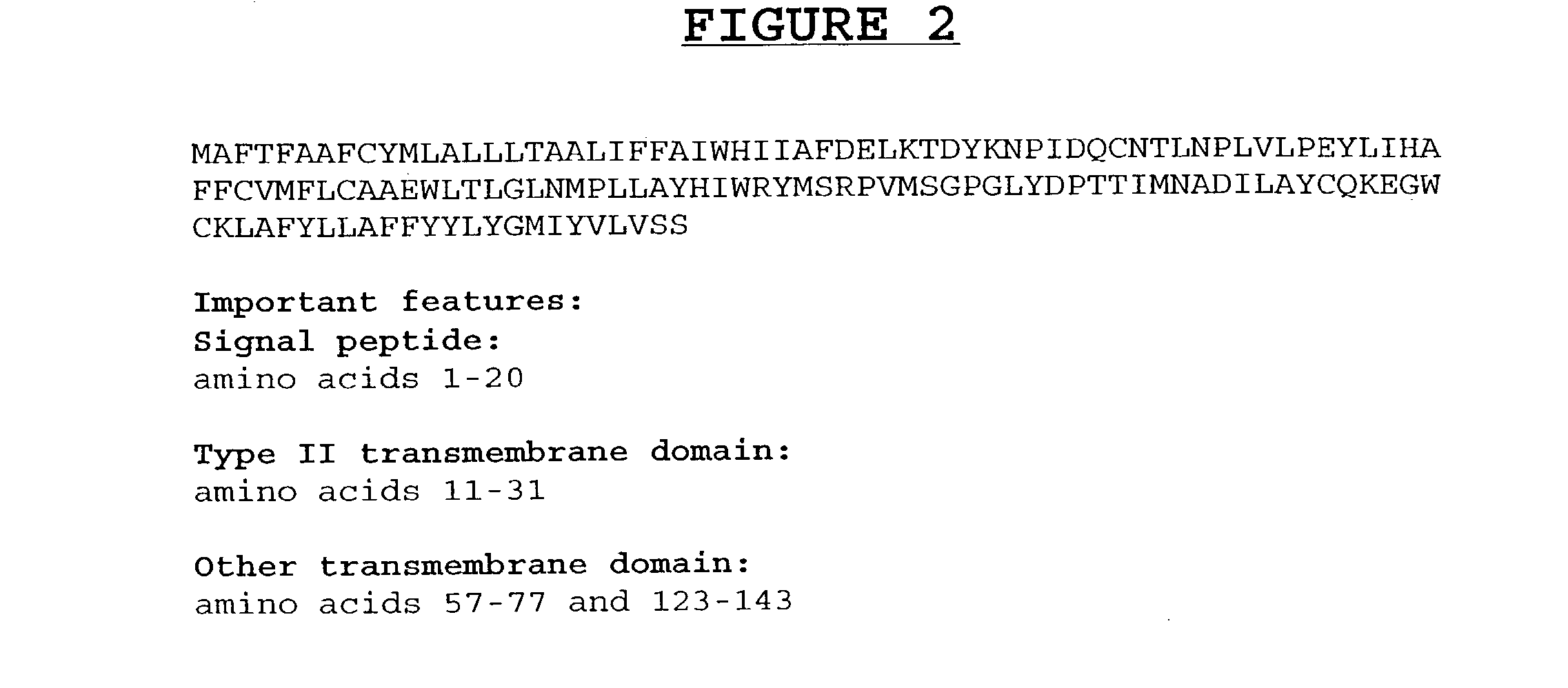 Compositions and methods for the diagnosis and treatment of disorders involving angiogenesis