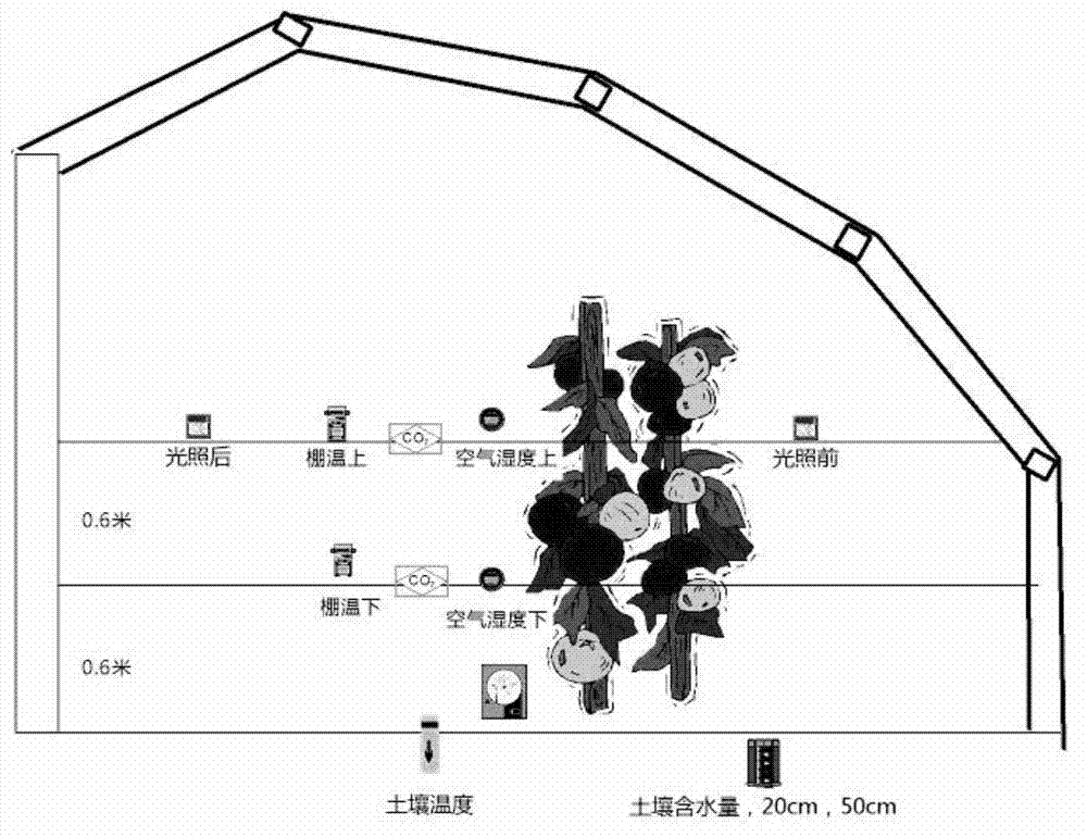 Internet of things-based facility vegetable farmland environment monitoring and standardized production system