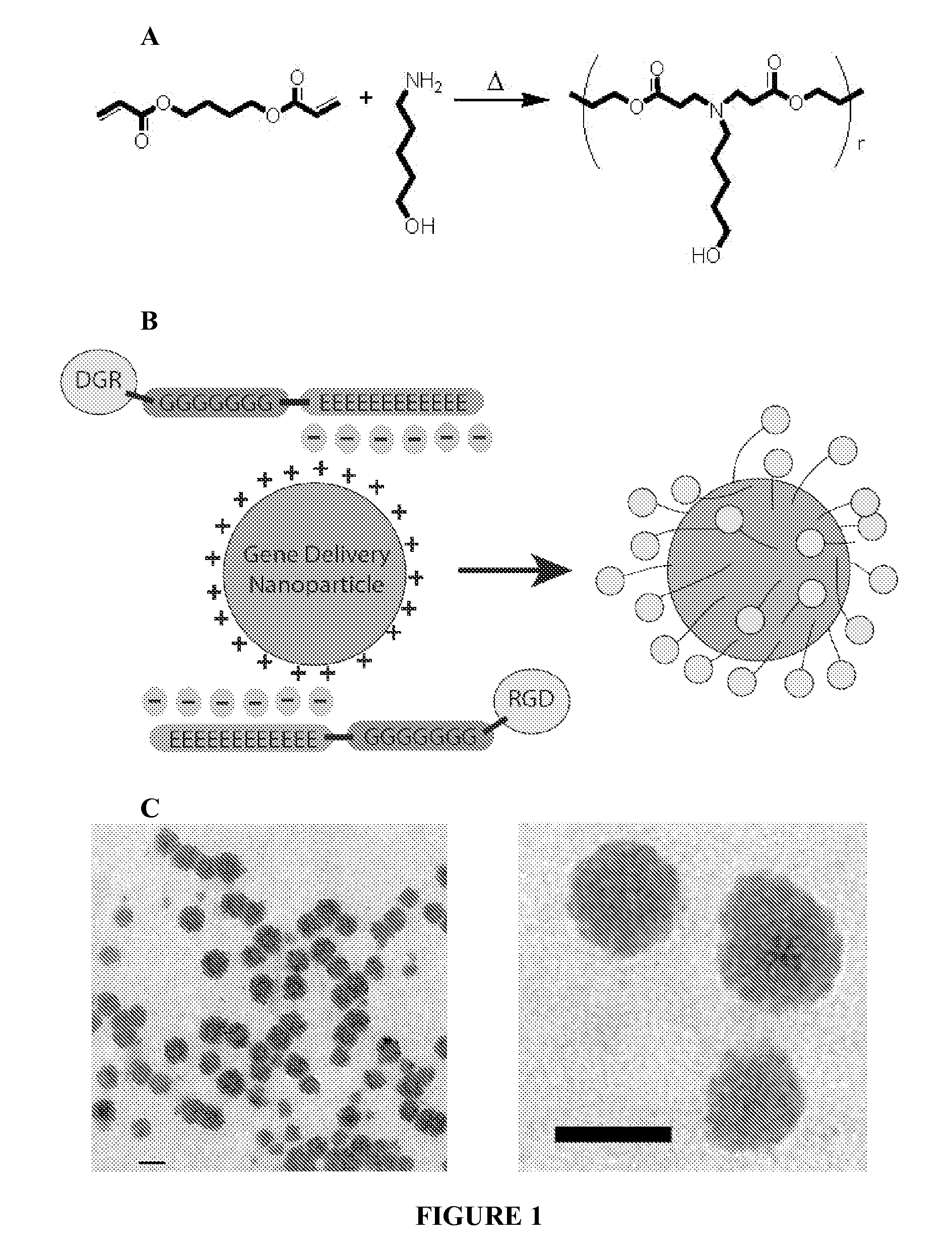 Electrostatic coating of particles for drug delivery