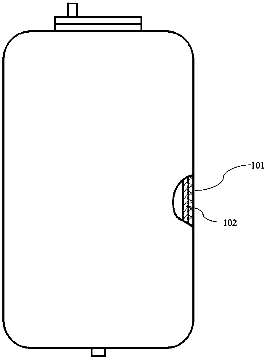 Ammonia injection system and control method thereof