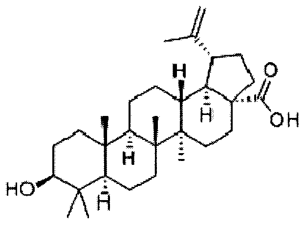 Application of triterpenoid in preventing or treating hyperlipidemia