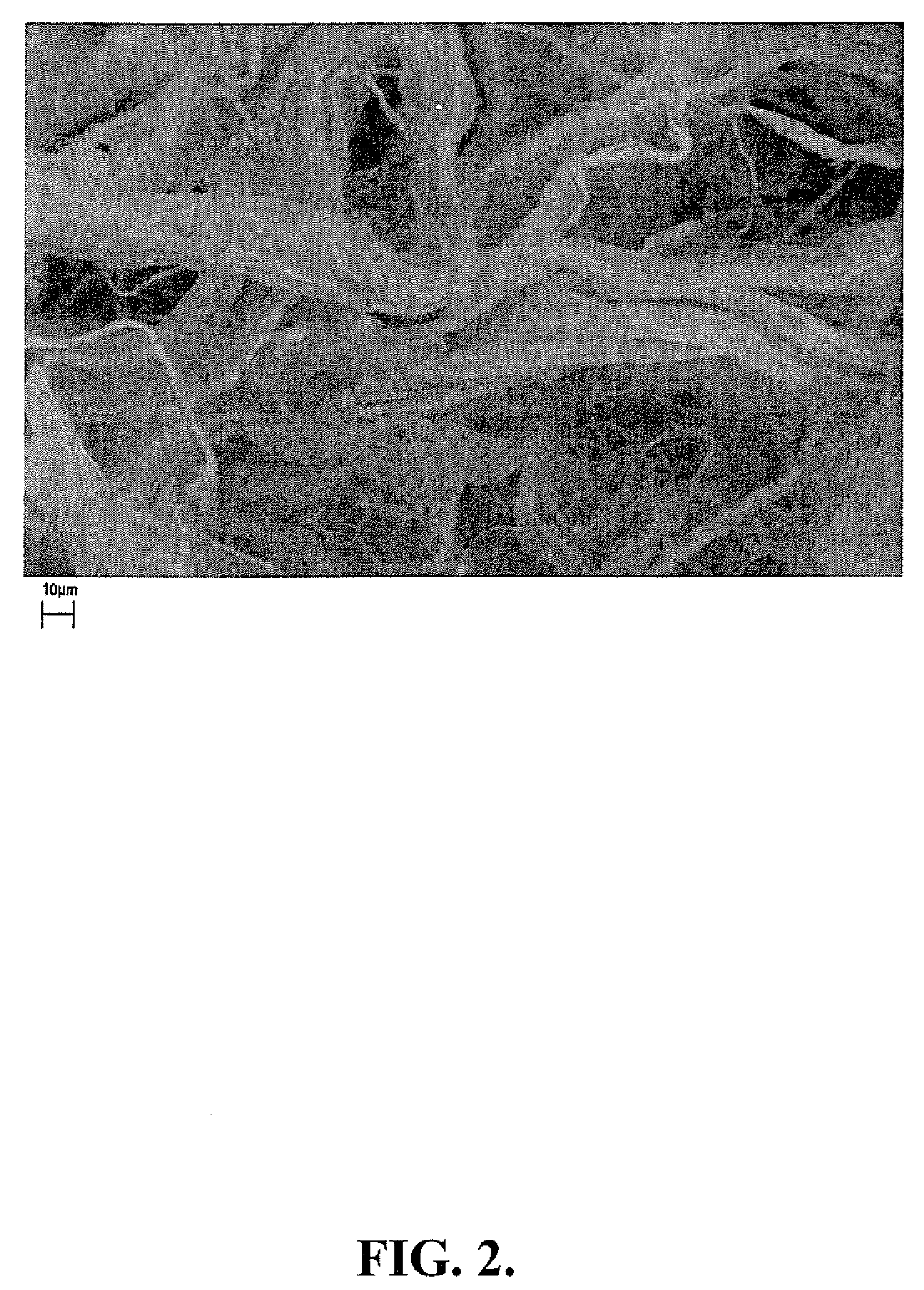 Mixed polymer superabsorbent fibers