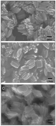 a fe  <sub>3</sub> o  <sub>4</sub> @c@tio  <sub>2</sub> A Simple Preparation Method of Magnetic Separation Photocatalyst