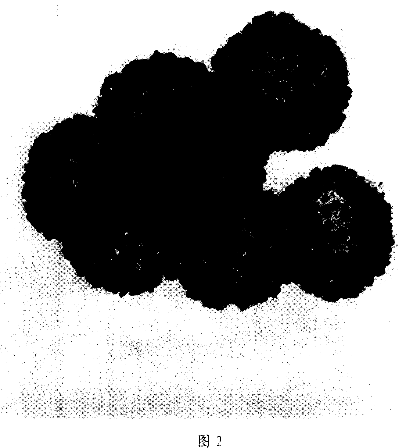 Synthetic method for silicon dioxide hollow bal lincluding noble metal nano particles