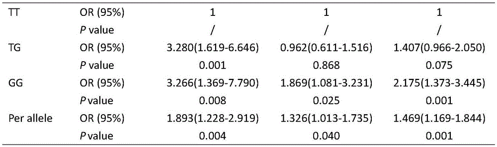 A SNP marker related to sexual precocity in mitten crab sinensis and its application