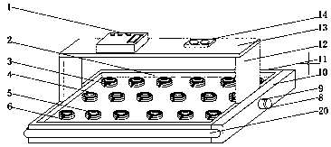 Soilless greenhouse culture device for China rose planting