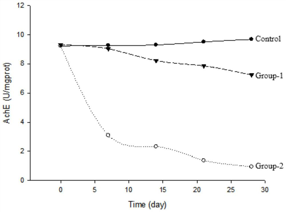 Huperzine A acupoint sustained-release gel patch for treating senile dementia and preparation method thereof