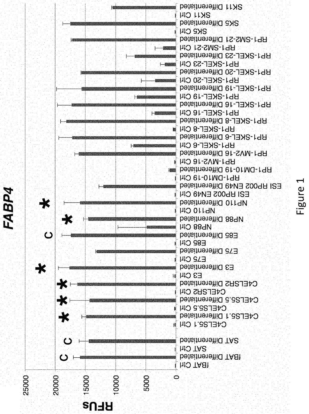 Methods for the re-derivation of diverse pluripotent stem cell-derived brown fat cells