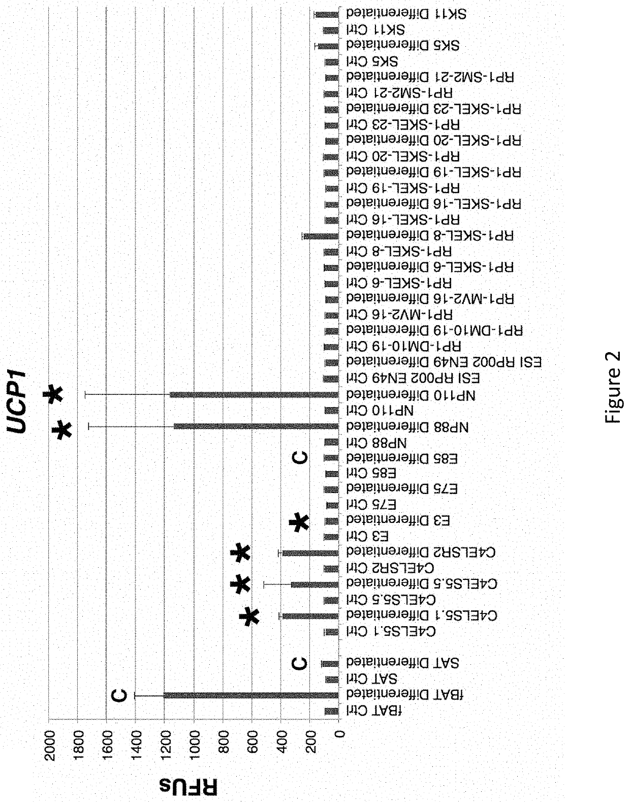 Methods for the re-derivation of diverse pluripotent stem cell-derived brown fat cells