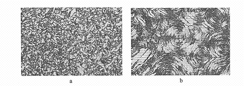 Silicon rubber/gadoleic acid cholesterol ester liquid crystal cross linking membrane and preparation method and applications thereof