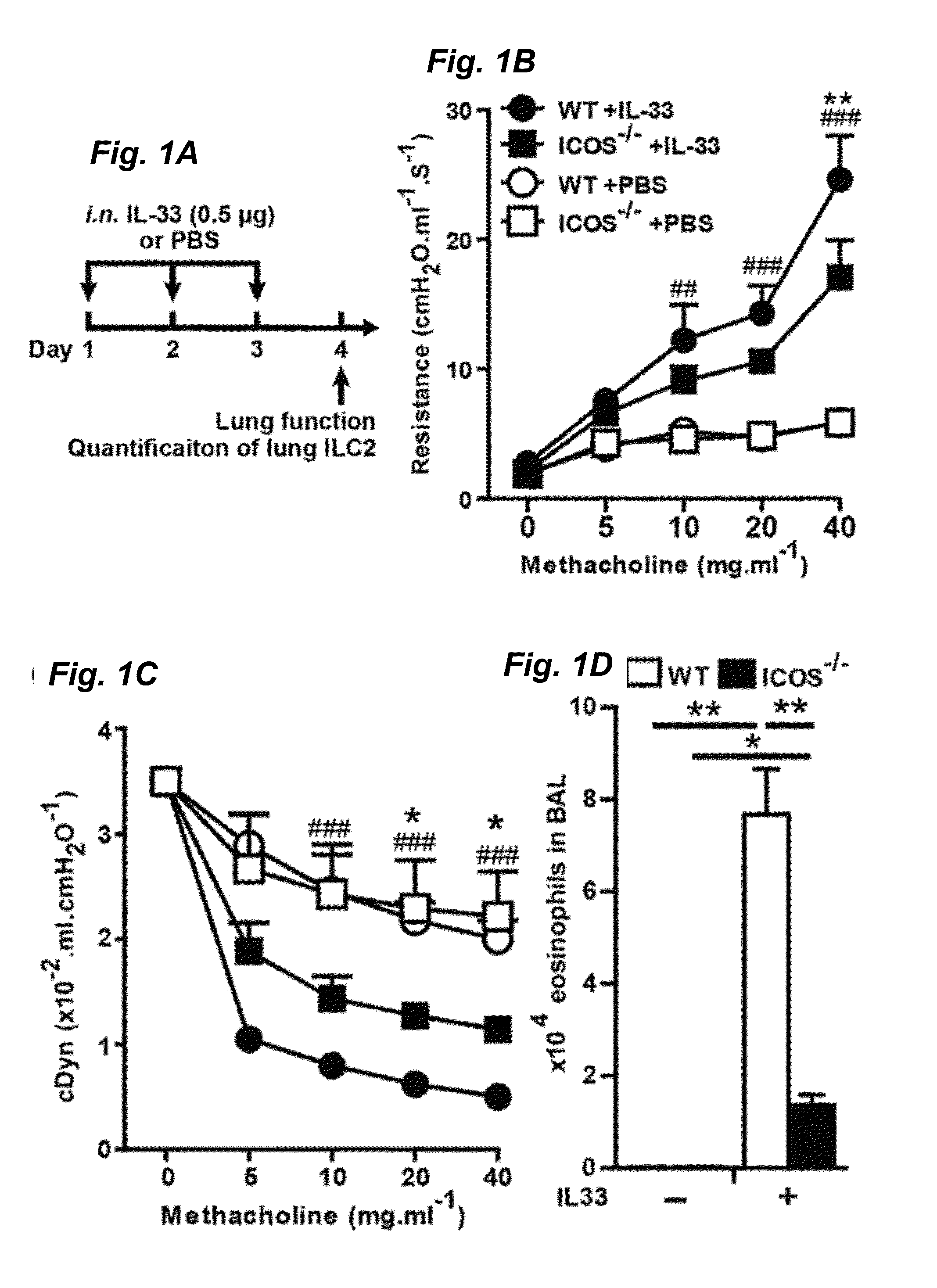 Murine and human innate lymphoid cells and lung inflammation