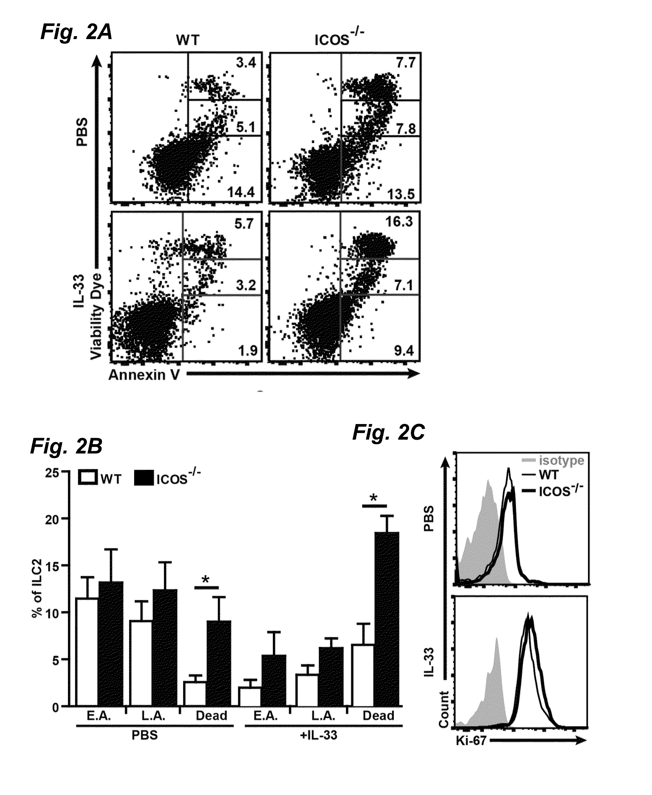 Murine and human innate lymphoid cells and lung inflammation