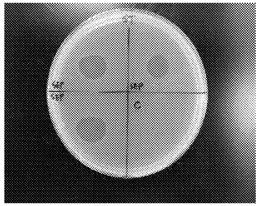 Method for prevention and treatment of salmonella infection