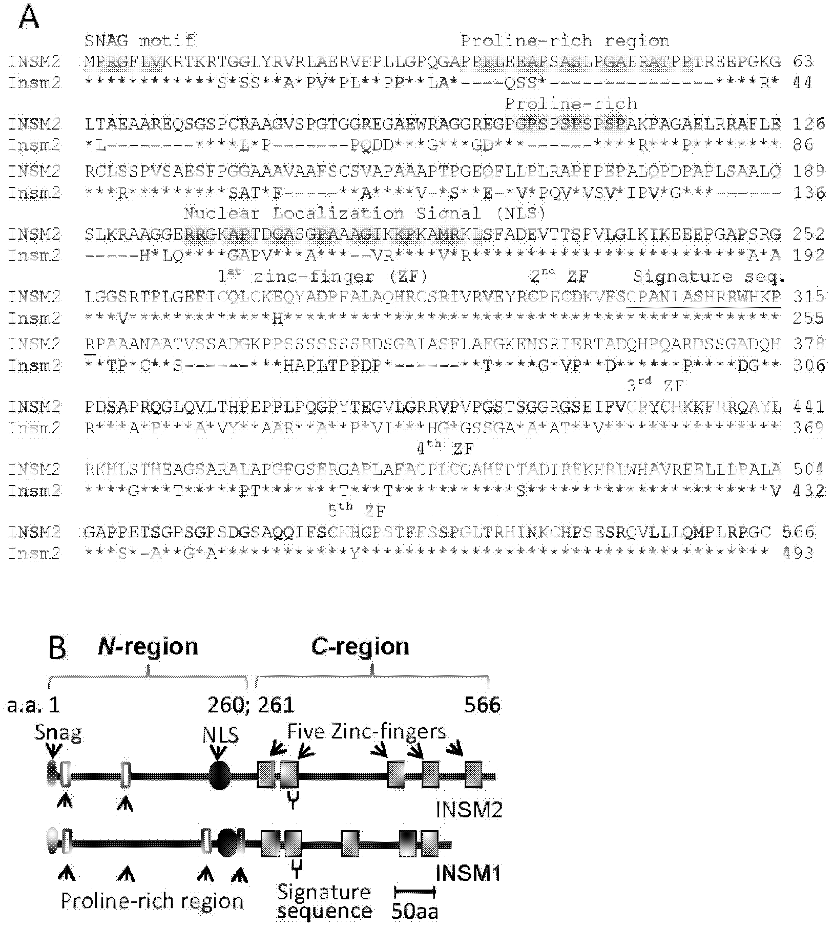 Method for purifying and recognizing pancreatic endocrine cells