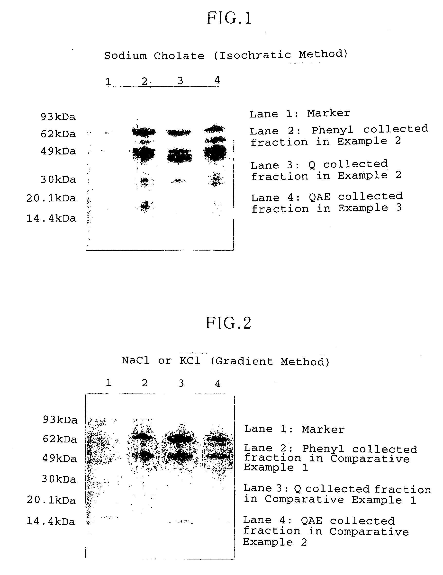 Method for purifying protein and glucose dehydrogenase