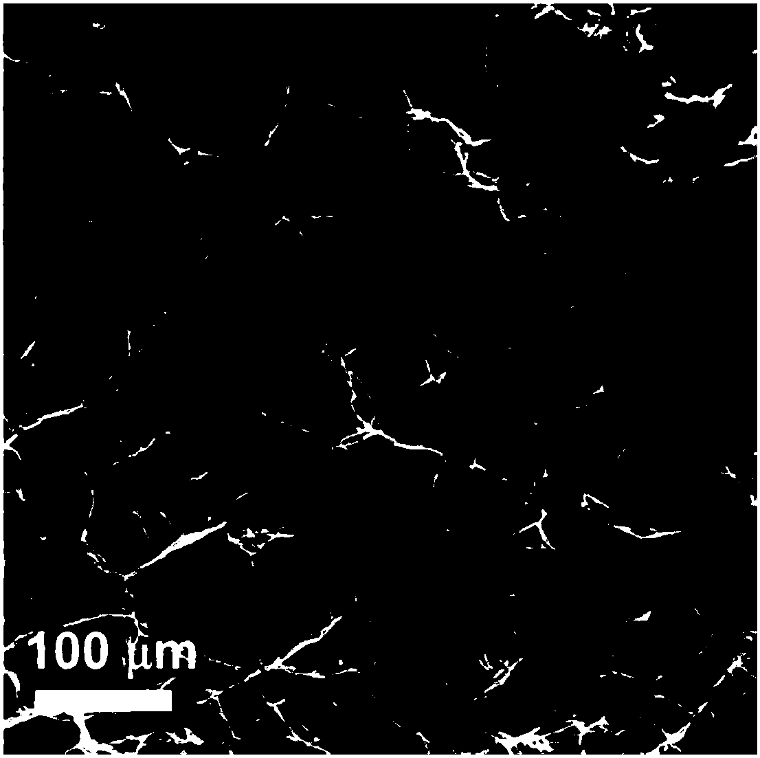 Graphene/ferroferric oxide composite material and preparation method and application thereof