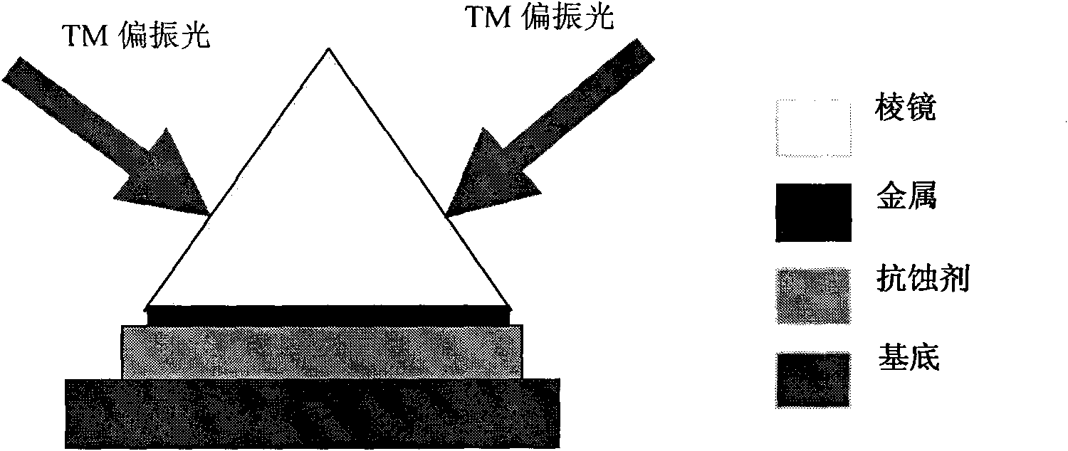 Surface plasmon (SPP)-based large-area interference lithography technology