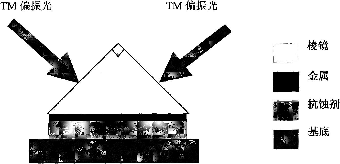 Surface plasmon (SPP)-based large-area interference lithography technology