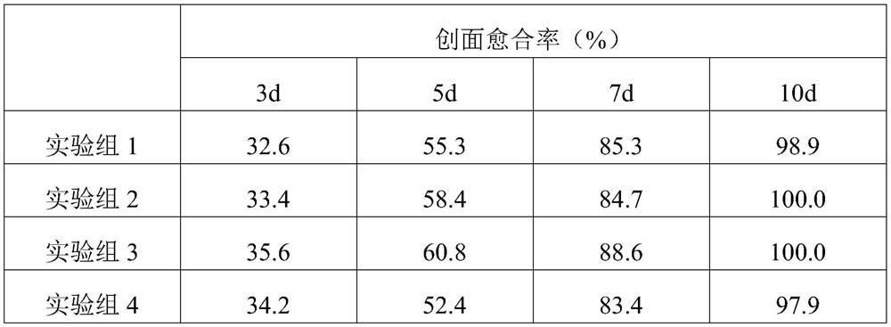 Skin wound inorganic functional dressing capable of stopping bleeding and promoting healing and preparation method of skin wound inorganic functional dressing