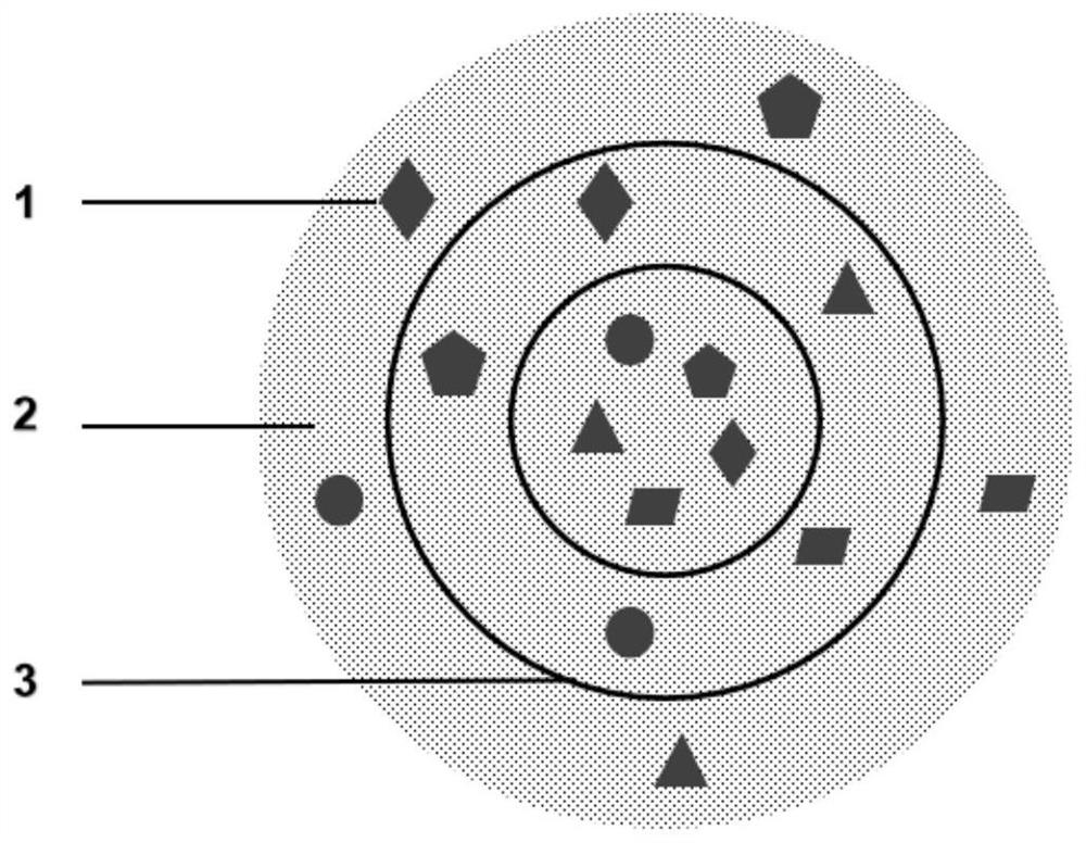 Biological deodorant utilizing microbial metabolism and preparation method thereof