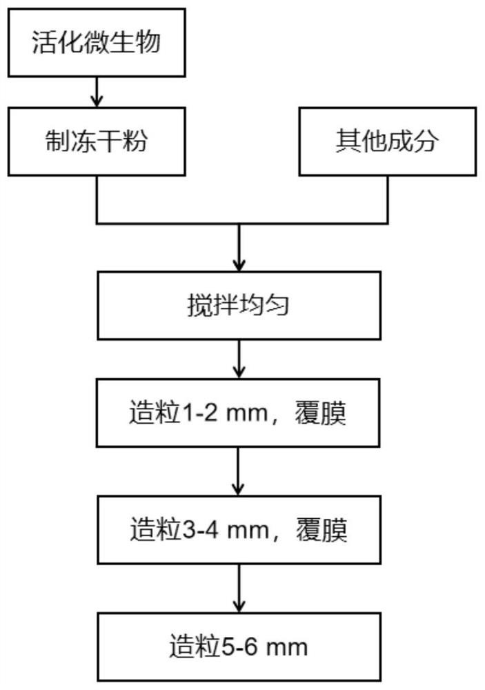 Biological deodorant utilizing microbial metabolism and preparation method thereof