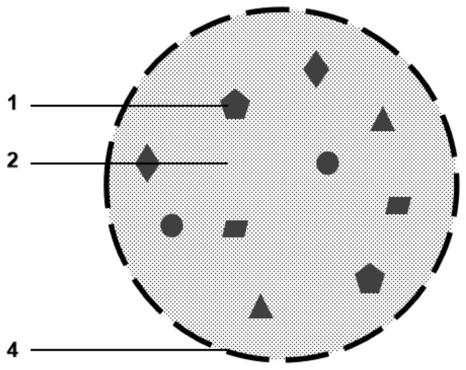 Biological deodorant utilizing microbial metabolism and preparation method thereof