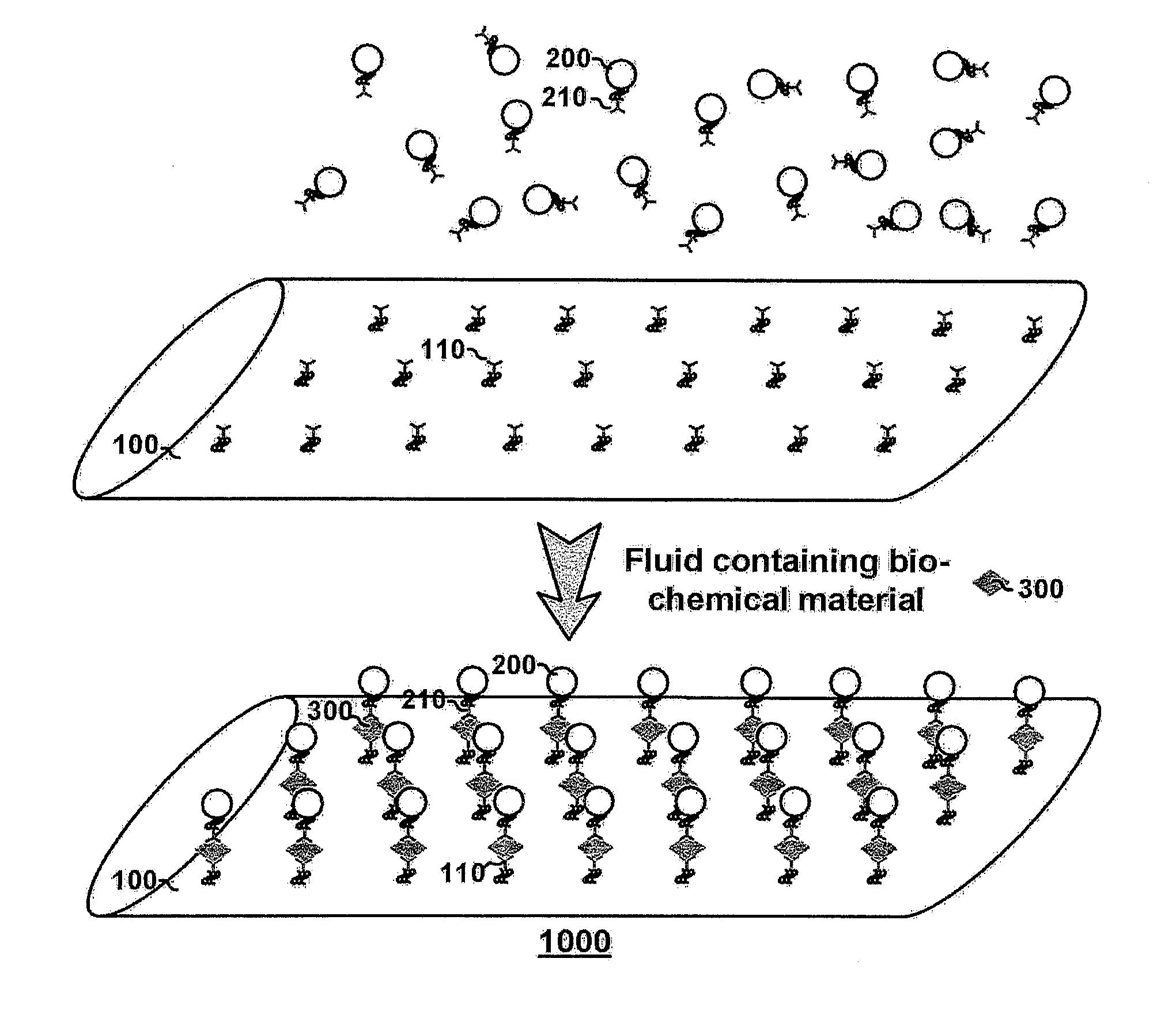 Detection Method of Bio-Chemical Material Using Surface-Enhanced Raman Scattering