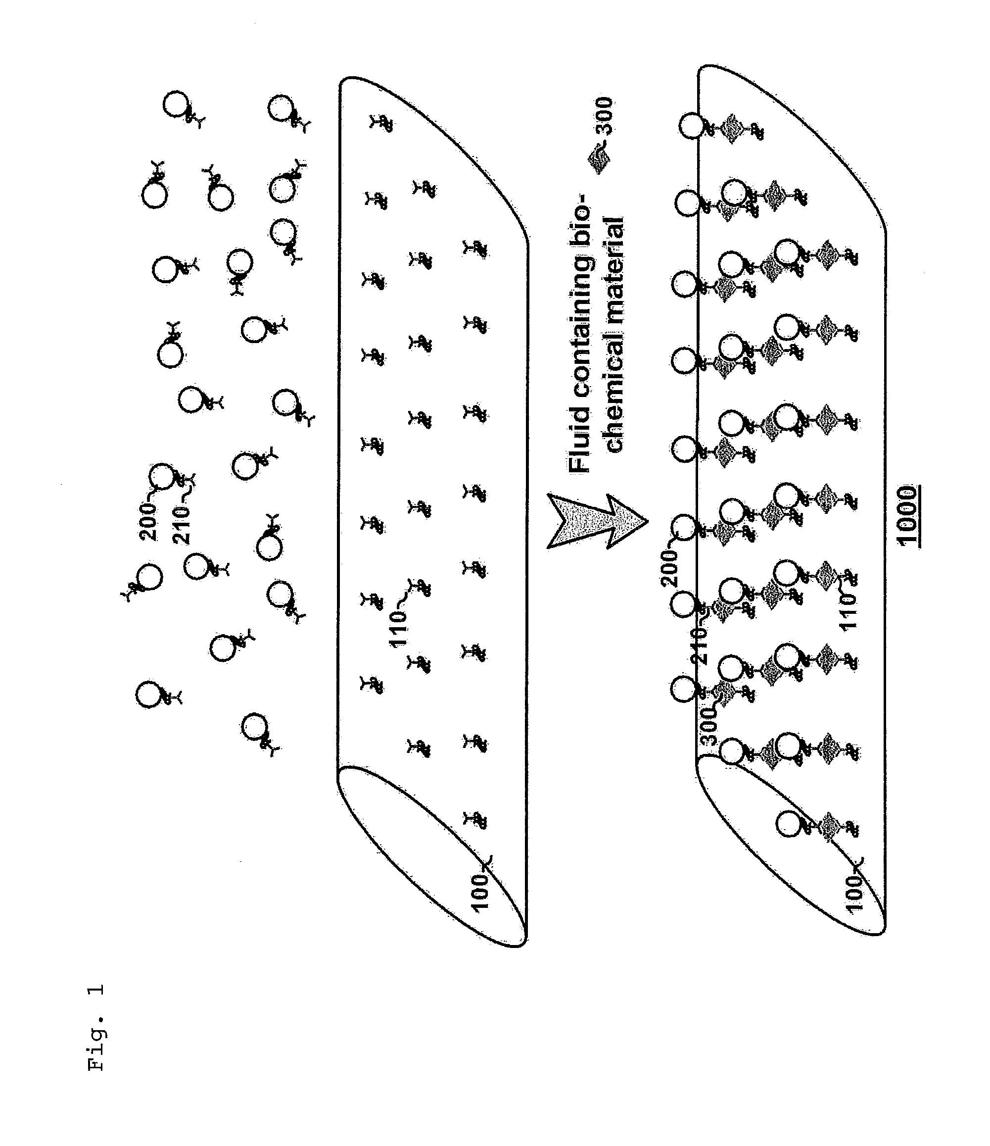 Detection Method of Bio-Chemical Material Using Surface-Enhanced Raman Scattering