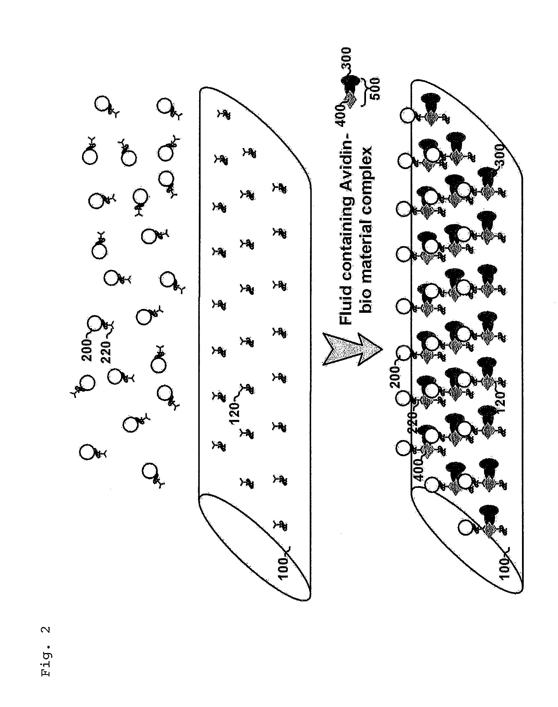 Detection Method of Bio-Chemical Material Using Surface-Enhanced Raman Scattering