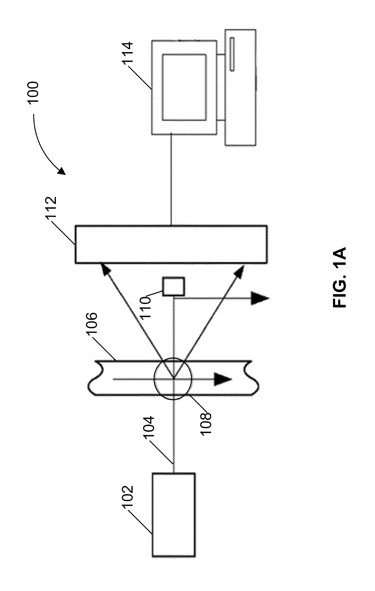 Systems and methods for detecting normal levels of bacteria in water using a multiple angle light scattering (MALS) instrument