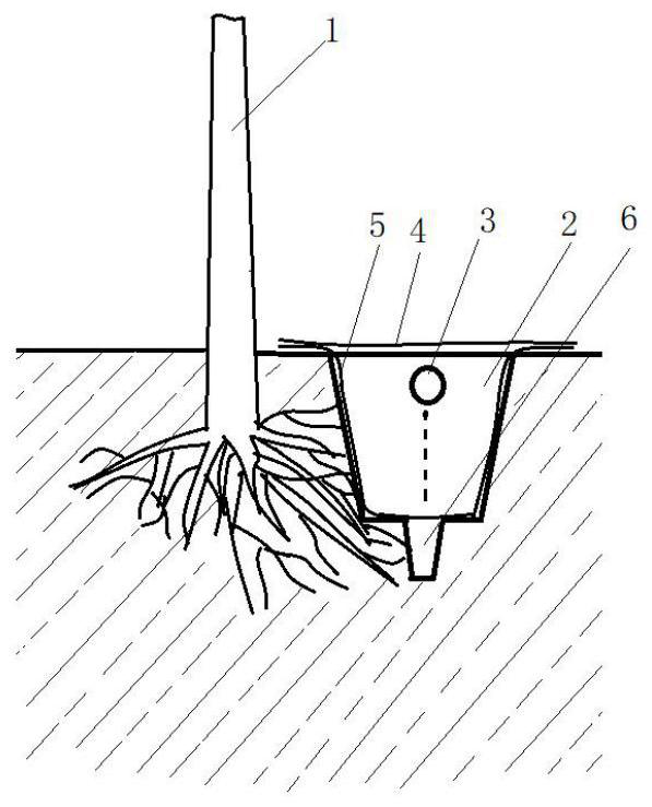 A kind of labor-saving cultivation method of apple fertilizer and water intensive