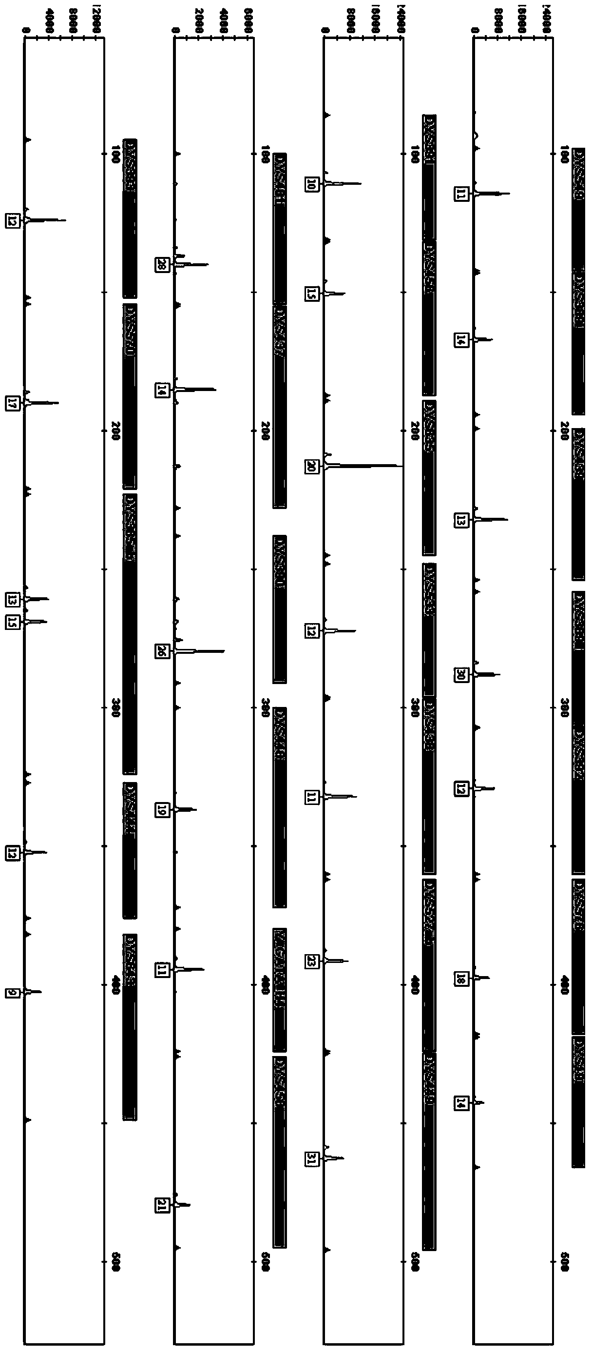 Fluorescence labeling composite amplification kit for human Y chromosome 27 STR gene loci