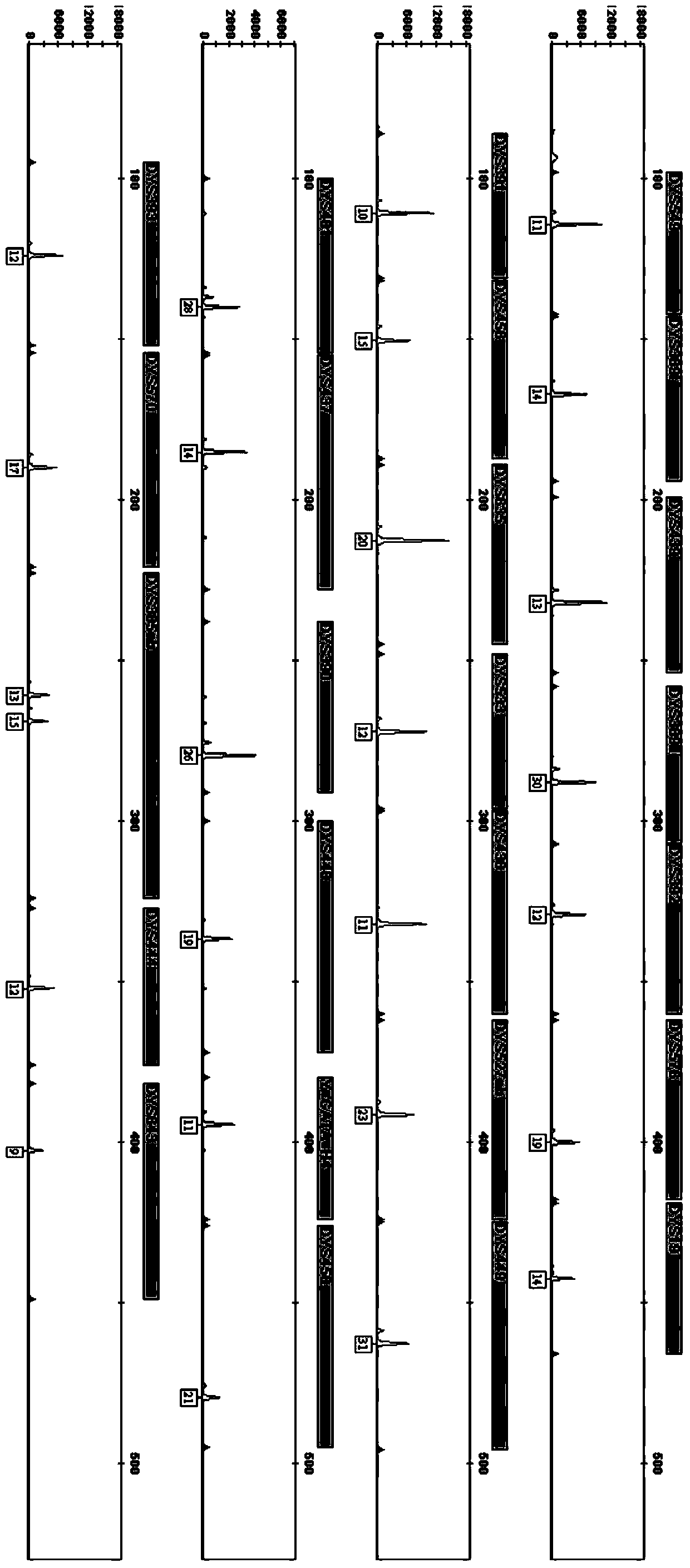 Fluorescence labeling composite amplification kit for human Y chromosome 27 STR gene loci