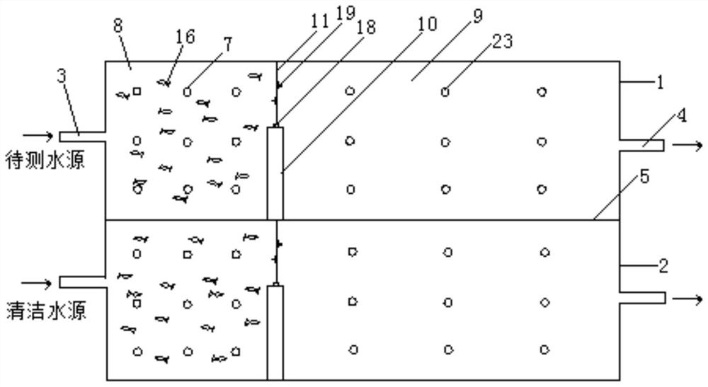 A water pollution monitoring and early warning device and early warning method based on fish behavior