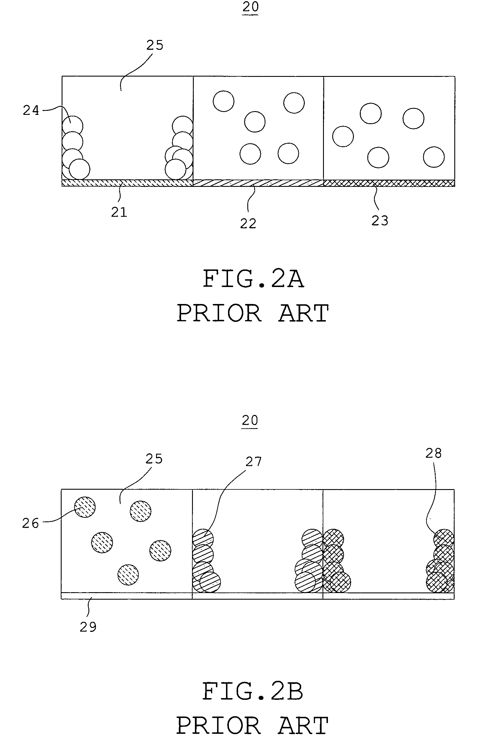 Transflective electrophoretic display device