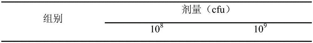 Attenuated salmonella choleraesuis and preparation method and application thereof