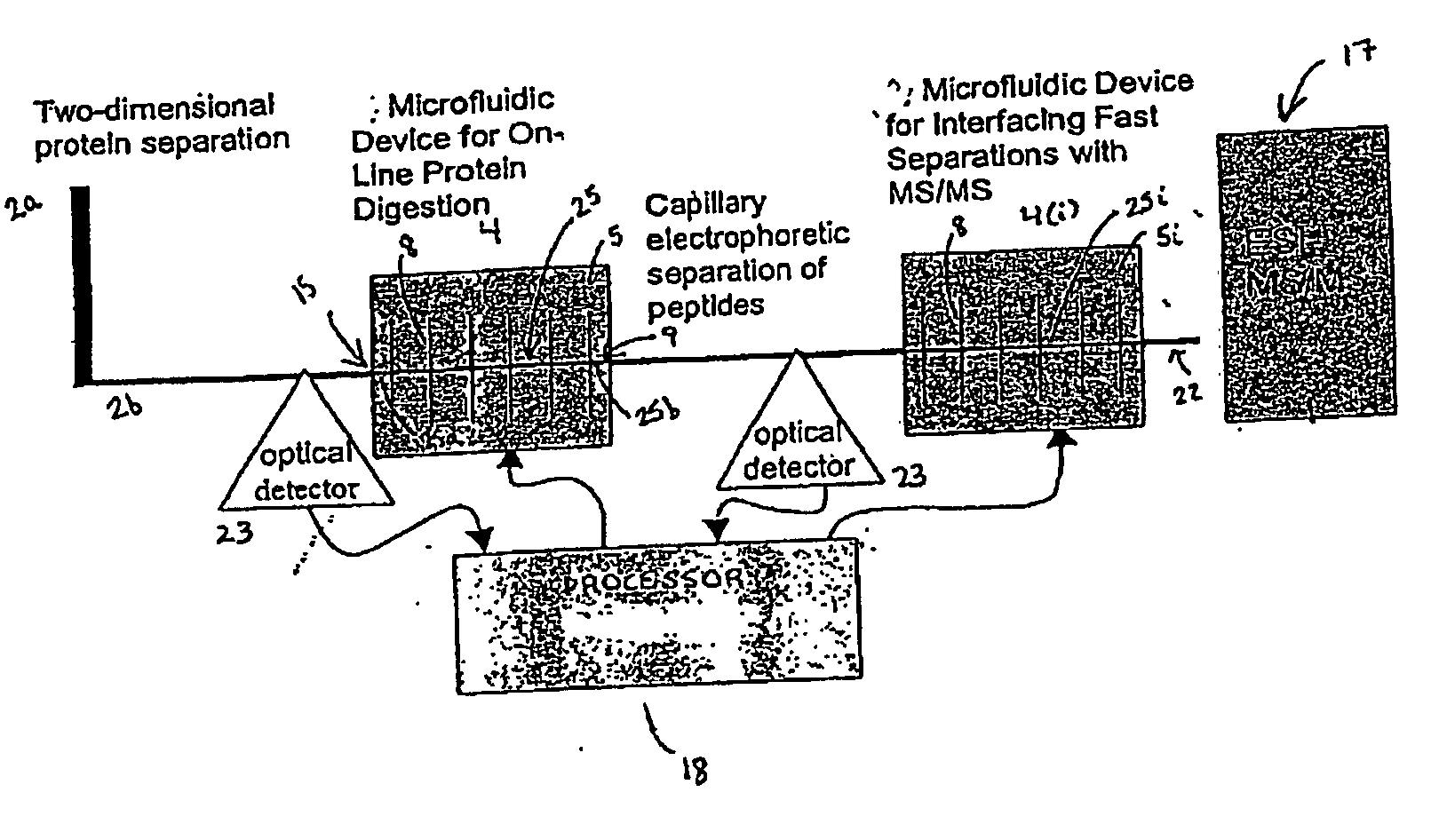 Microfluidic system for proteome analysis