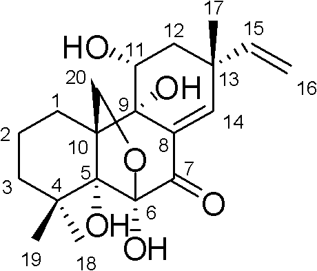 Method for preparing diaporthein B and application of diaporthein B to preparation of antitumor medicaments