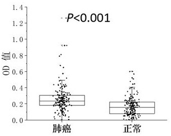 A kind of lung cancer marker anti-mmp12 autoantibody and its application