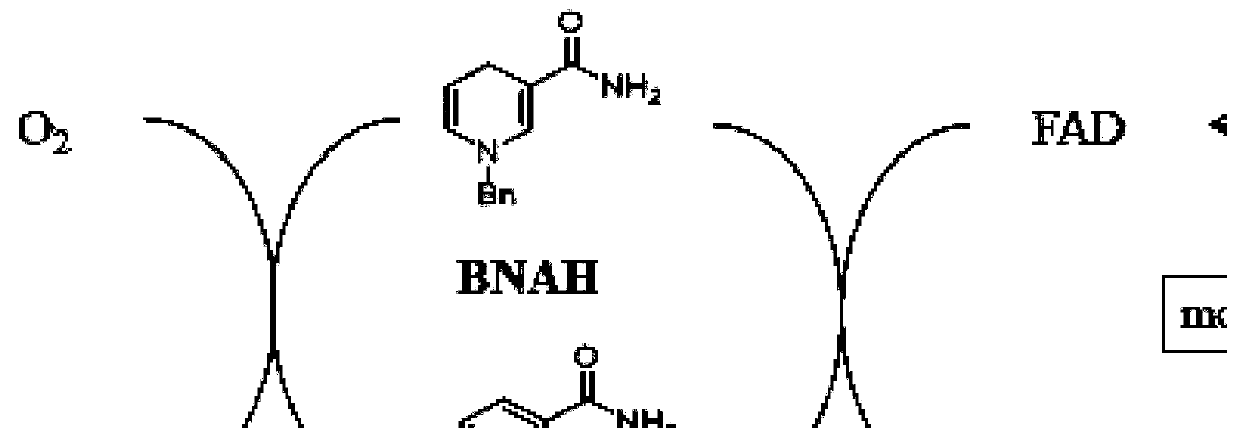 Modified lignin as well as preparation method thereof and application of modified lignin in phenolic resin adhesive