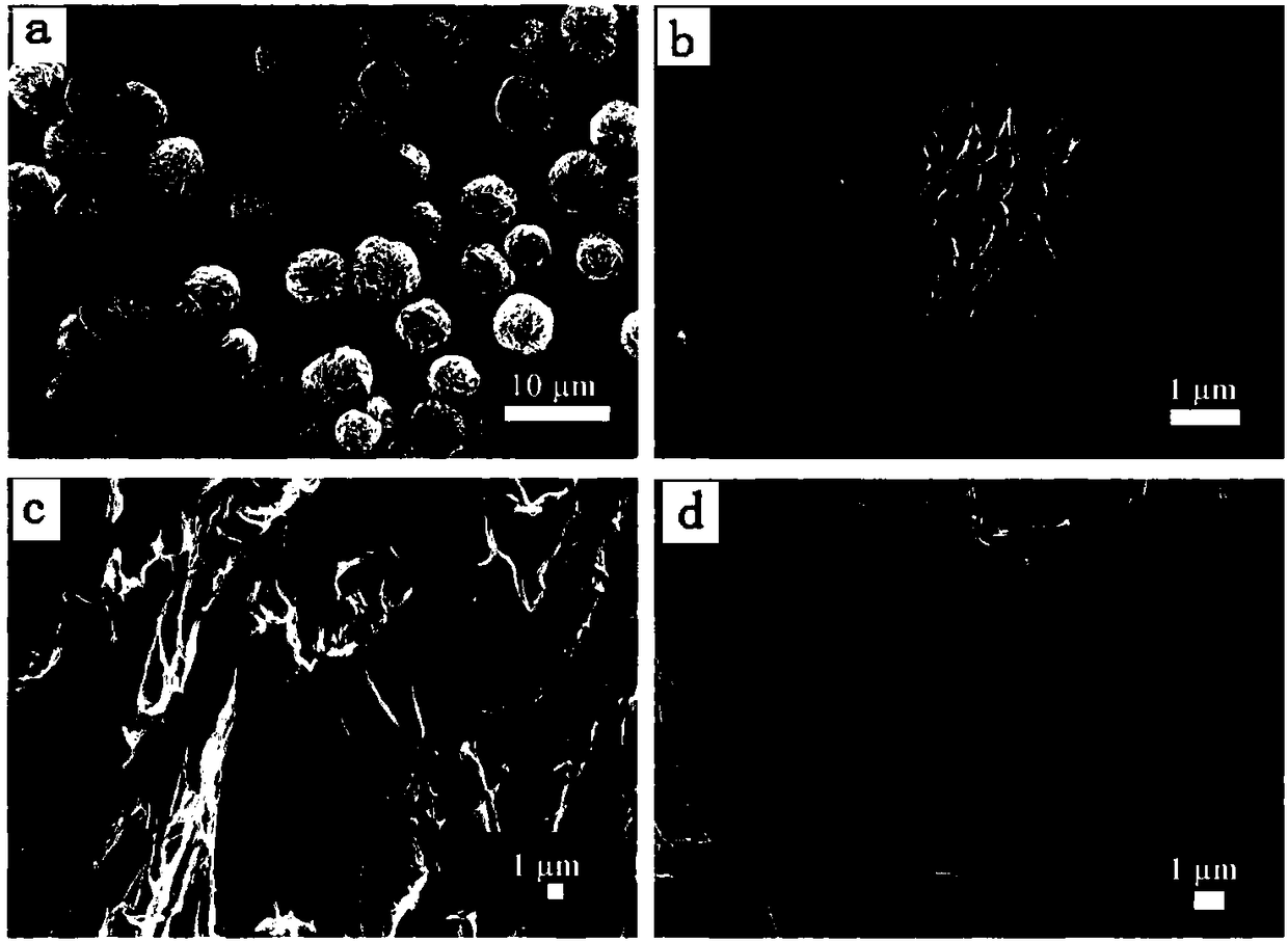 Hydrogel containing protease-inorganic hybrid nanoflower, and preparation method and applications thereof