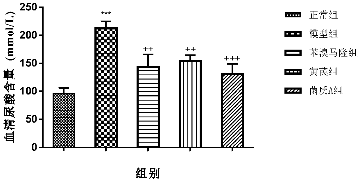 Radix astragali-penicillium cicada fermentation bacterium and application thereof