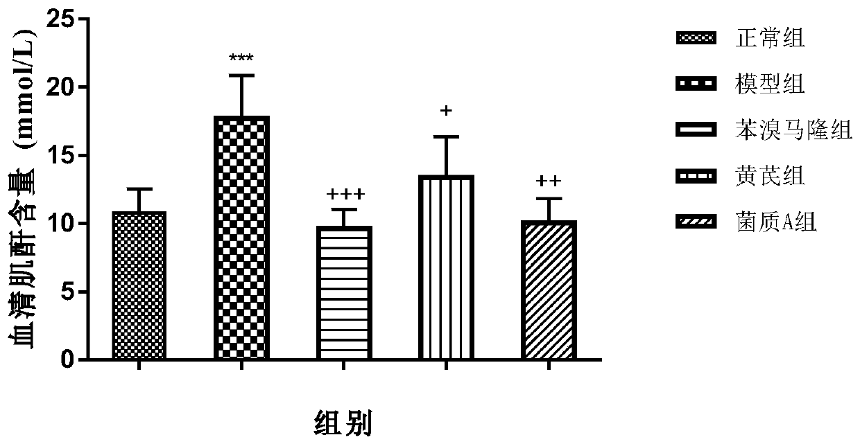 Radix astragali-penicillium cicada fermentation bacterium and application thereof