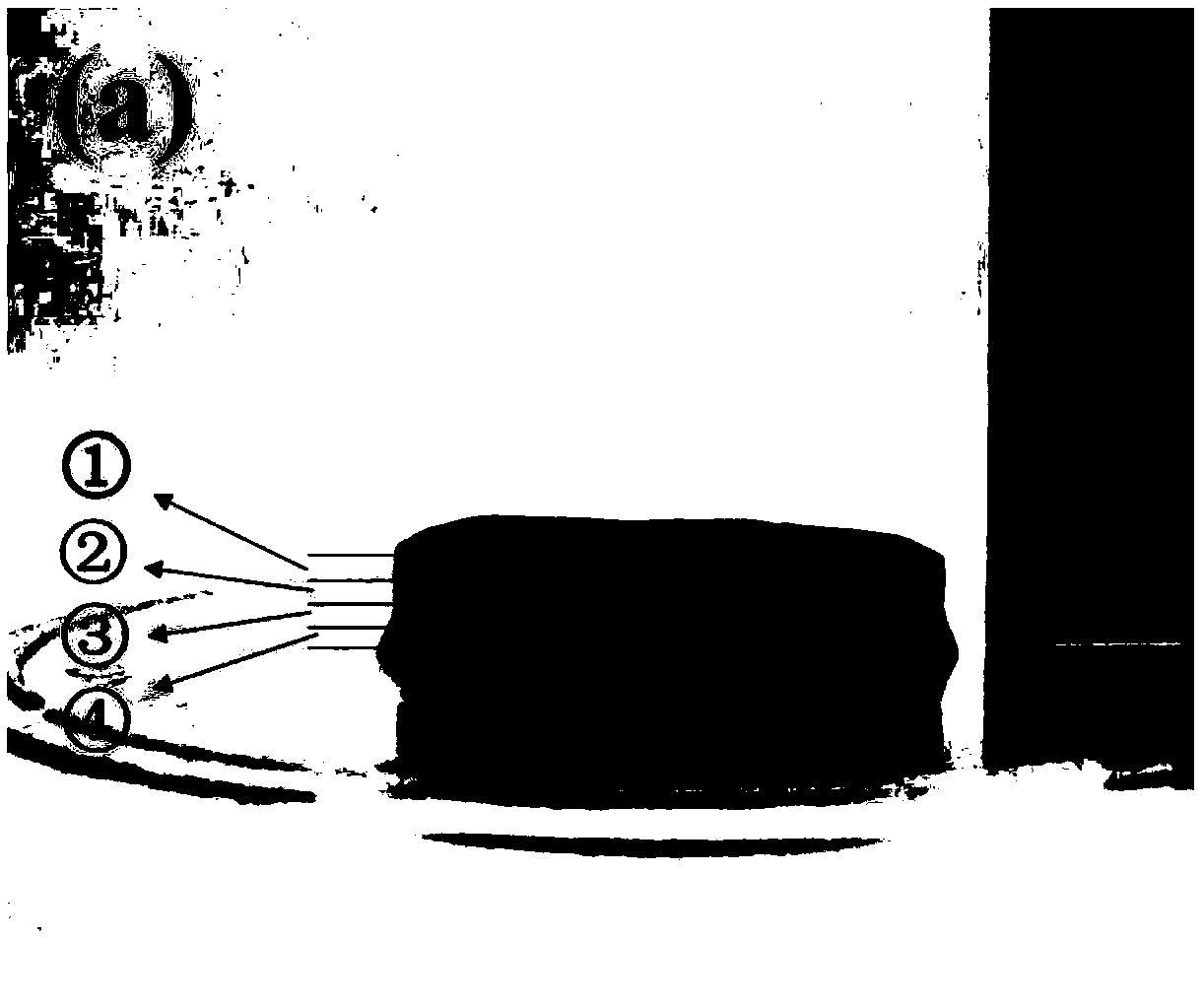 Graphene/bacterial cellulose composite material with gradient structure and preparation method thereof