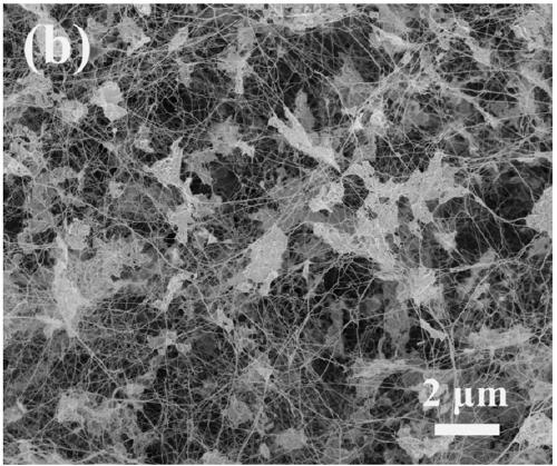 Graphene/bacterial cellulose composite material with gradient structure and preparation method thereof