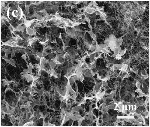 Graphene/bacterial cellulose composite material with gradient structure and preparation method thereof