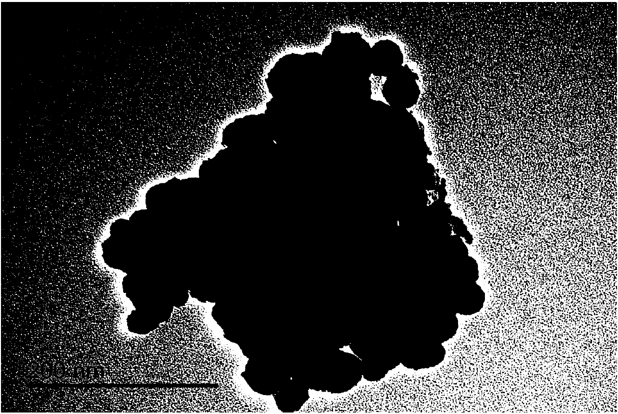 Sr2FeTaO6/alumina composite catalyst for denitrification of flue gas and preparation method thereof