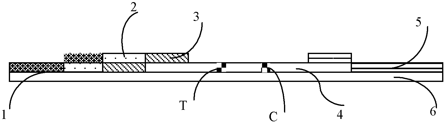 Colloidal gold test paper for quickly detecting troponin I and preparation method for colloidal gold test paper