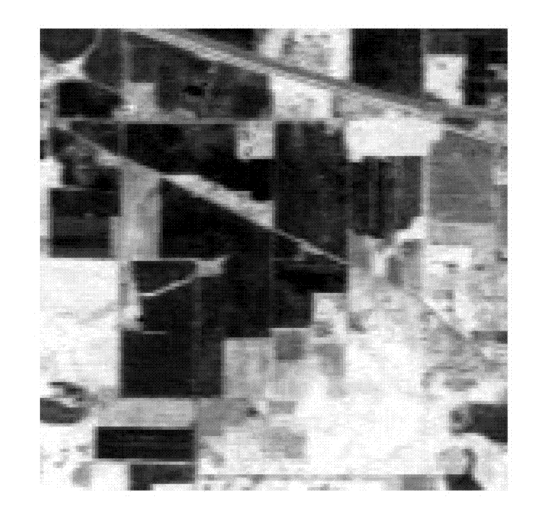 Hyper-spectral remote sensing image classifying method based on AdaBoost